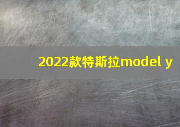 2022款特斯拉model y